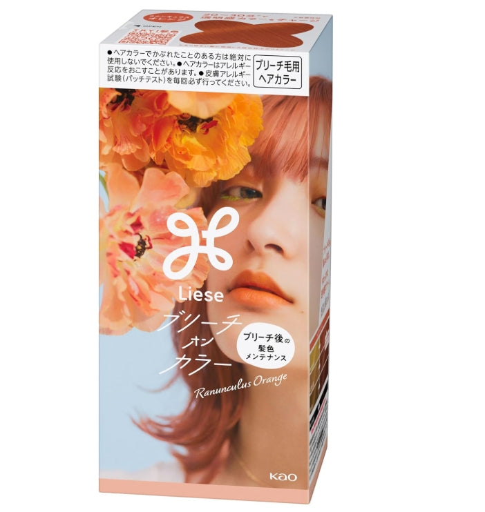 Made in Japan: Liese Foam Hair Dye (B547) 
