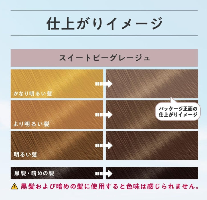 Made in Japan: Liese Foam Hair Dye (B547) 