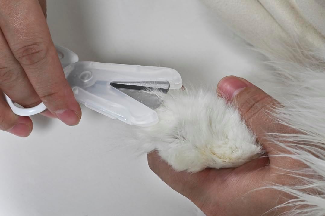 Made in Japan: Takumi B3602 Pet Grooming Scissors