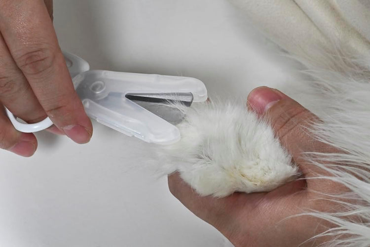Made in Japan: Takumi B3602 Pet Grooming Scissors