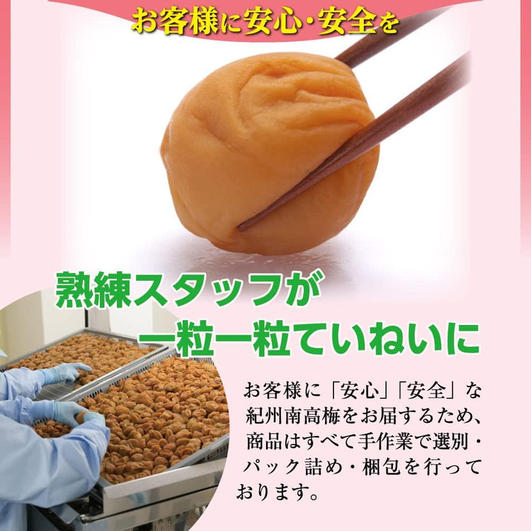日本製：梅の一冨士 ｜ 和歌山縣產紀州南高梅 蘋果梅 塩分 3% 300g (B3426)