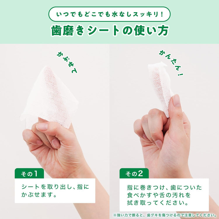 LEC 激落君 攜帶用潔齒濕紙巾 10張 2套組