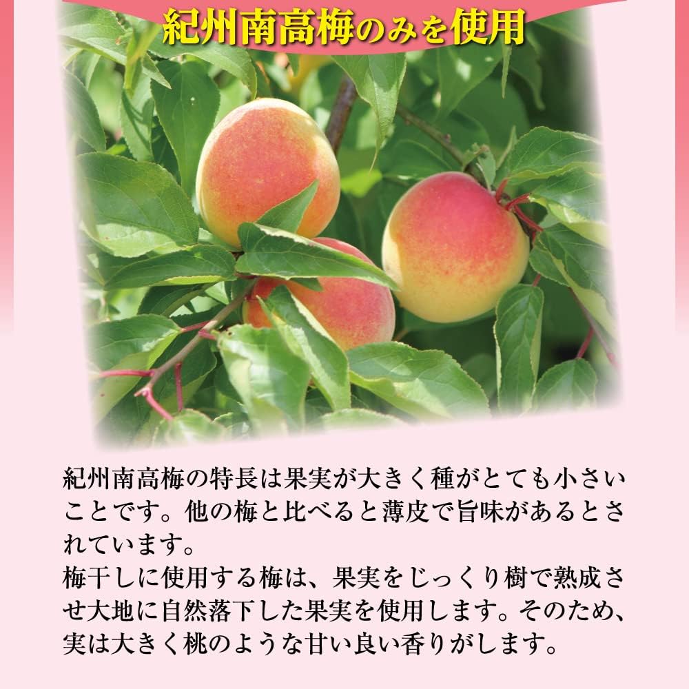 日本製：梅の一冨士 ｜ 和歌山縣產紀州南高梅 蘋果梅 塩分 3% 300g (B3426)