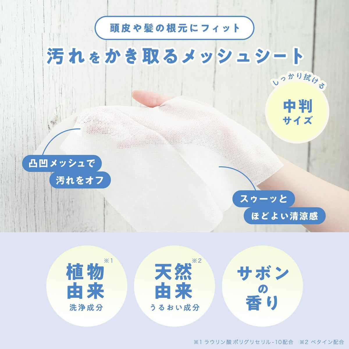 LEC 激落君隨身免水洗髮濕巾 10枚入 2包組