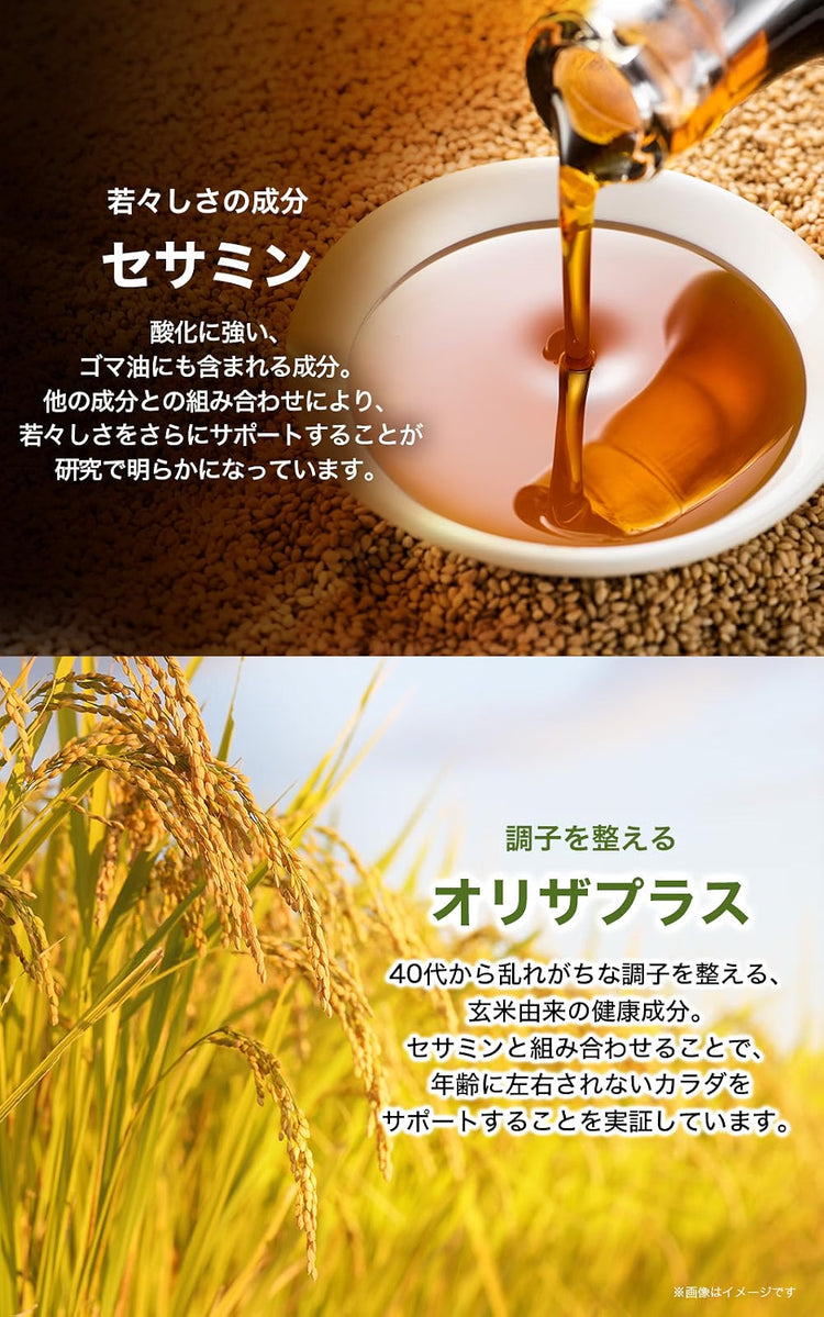 日本製：サントリー セサミンEX (90粒入り / 約30日分) (B3866)