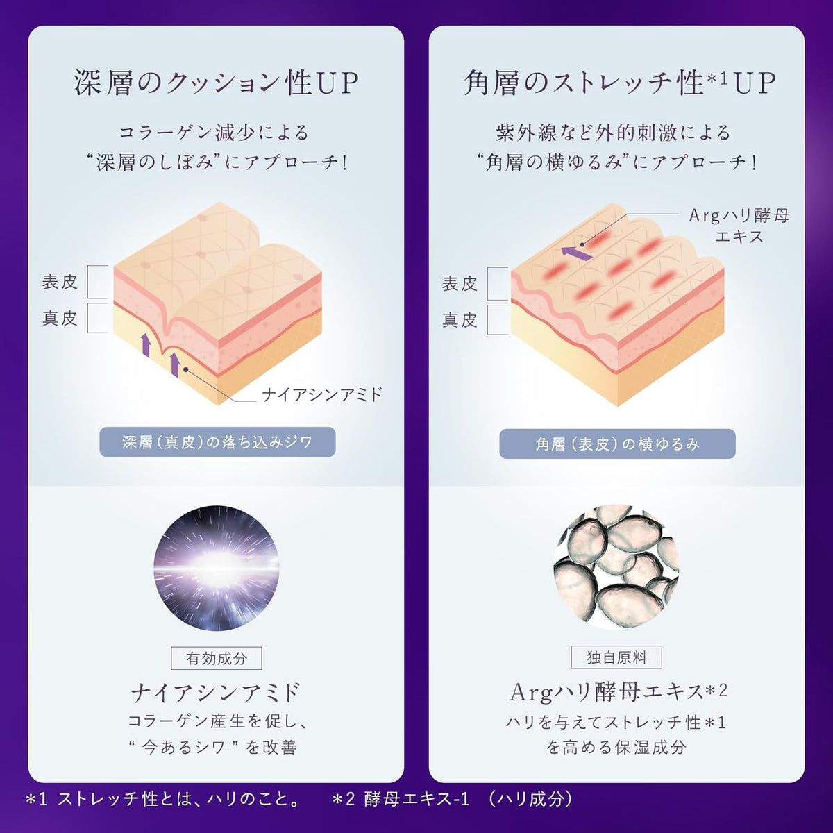 日本製：🏆資生堂 Attenir ｜ 全新升級版改善皺紋全效眼霜 (B3590)