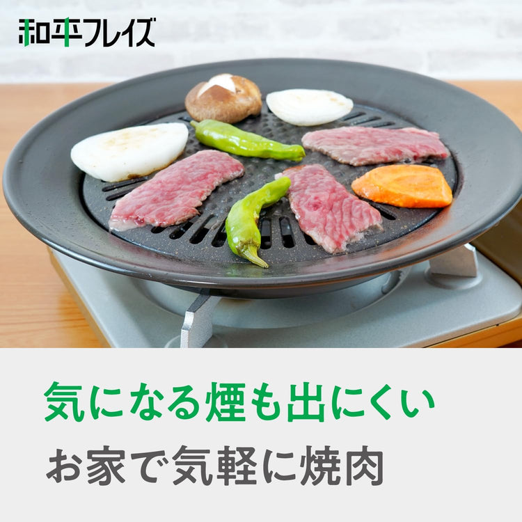 Iwatani 岩谷達人Slim V 纖薄卡式爐附專屬收納盒イワタニ カセットフー 達人スリムV ケース付き CB-TS-5-A