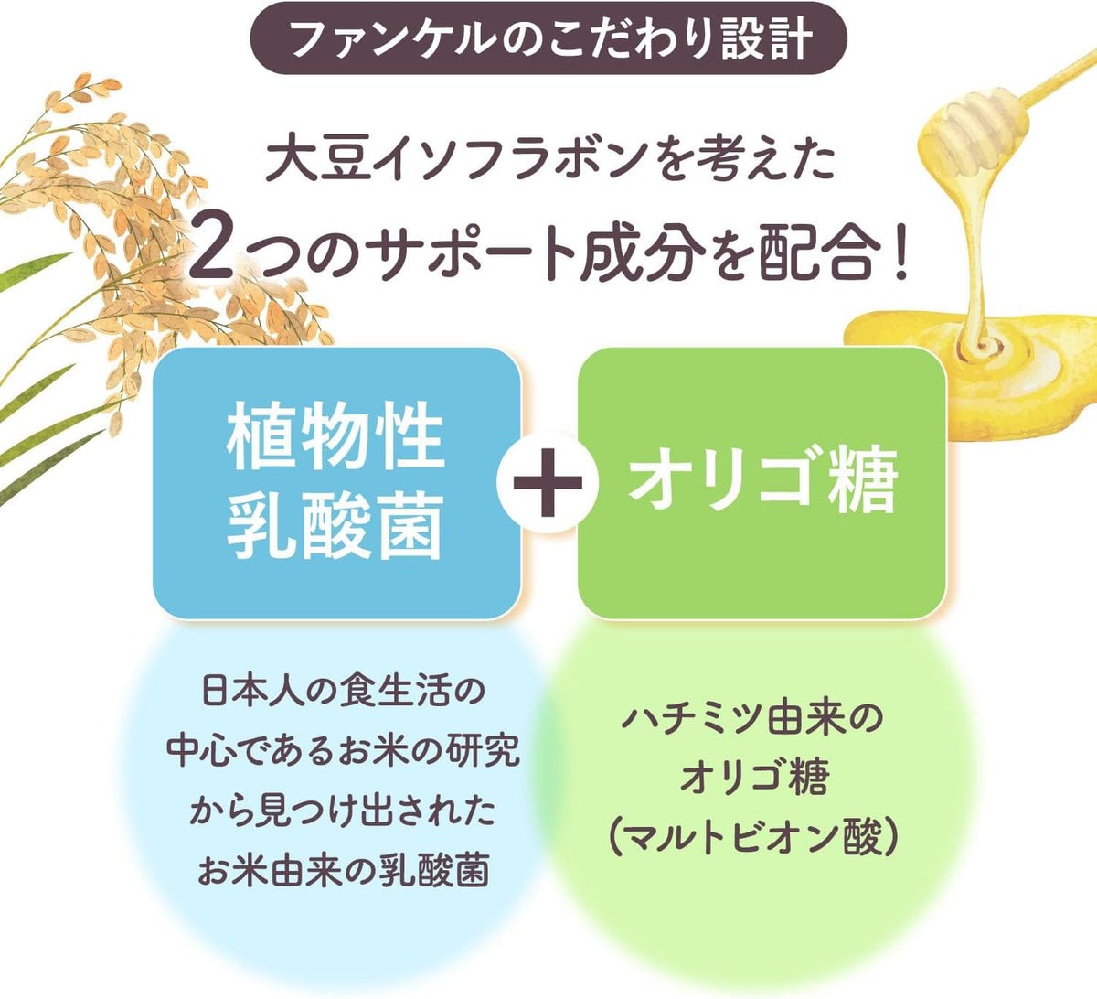 日本製：FANCL｜🏆濃縮大豆イソフラボン＋植物性乳酸菌 30日分(B3487)