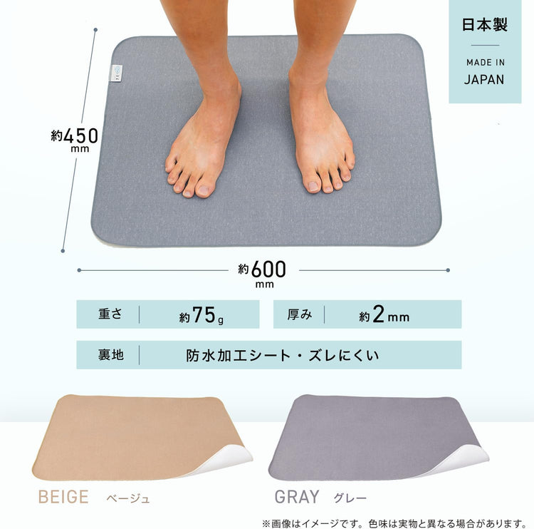 日本製：LEC激落君 SHOCK 超薄乾爽浴室墊 45×60cm (B3054)