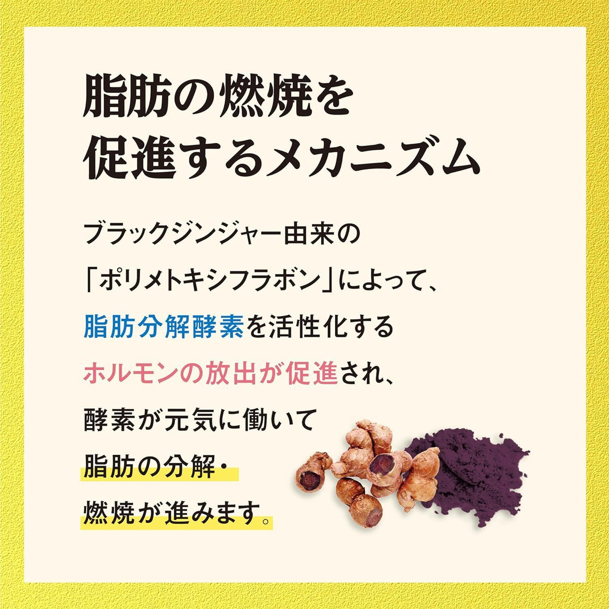 日本製：小林製藥 ｜Naishi Help Alpha｜ 黑生薑 × 薩拉西亞 脂肪對策營養素 90粒/約30日份 (B3532)