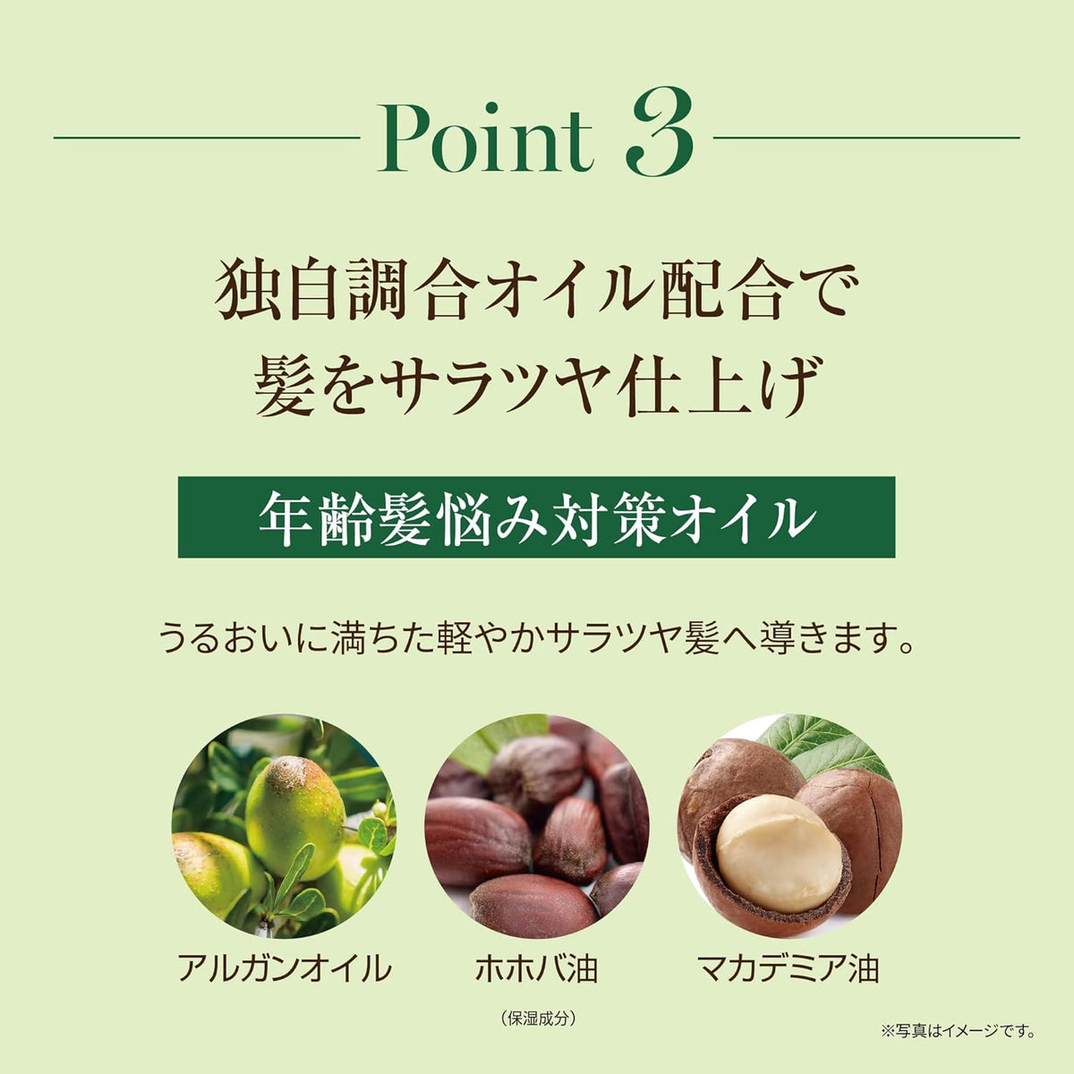Made in Japan: ARGANESE Argan Oil Hair Coloring and Conditioning Cream (B603)