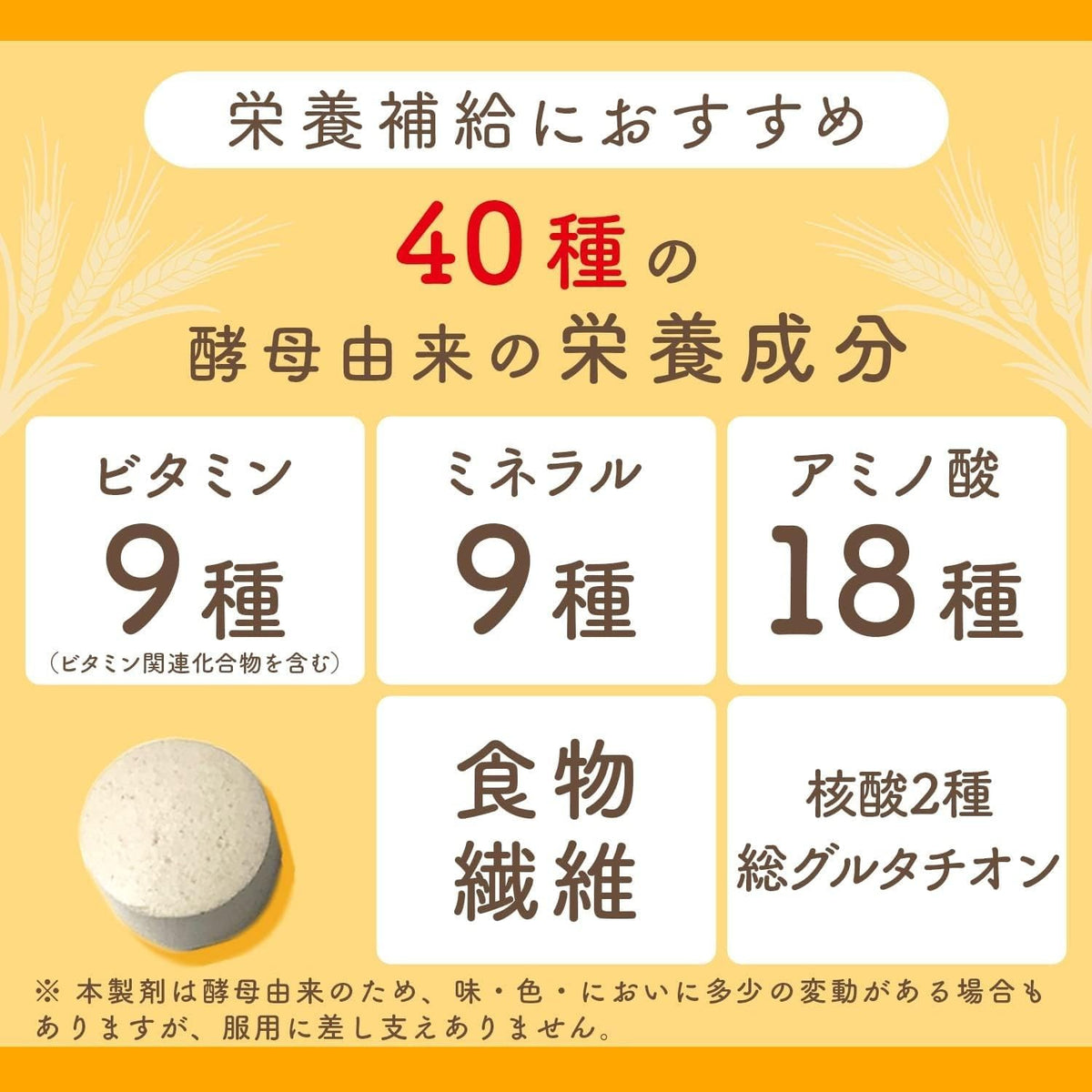 日本製：アサヒグループ食品｜エビオス錠 2000錠 (B3526)