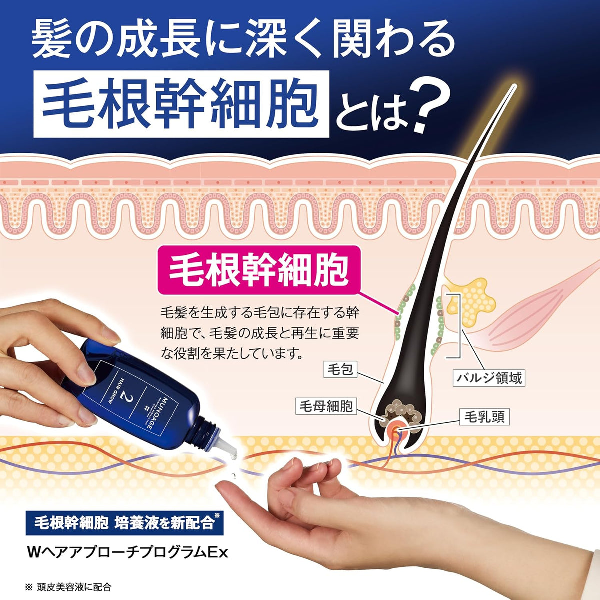 日本製：[養頭皮]MUNOAGE 雙效育毛精華套裝 (頭皮美容液 60ml + 藥用育毛劑 60ml) (B3922)