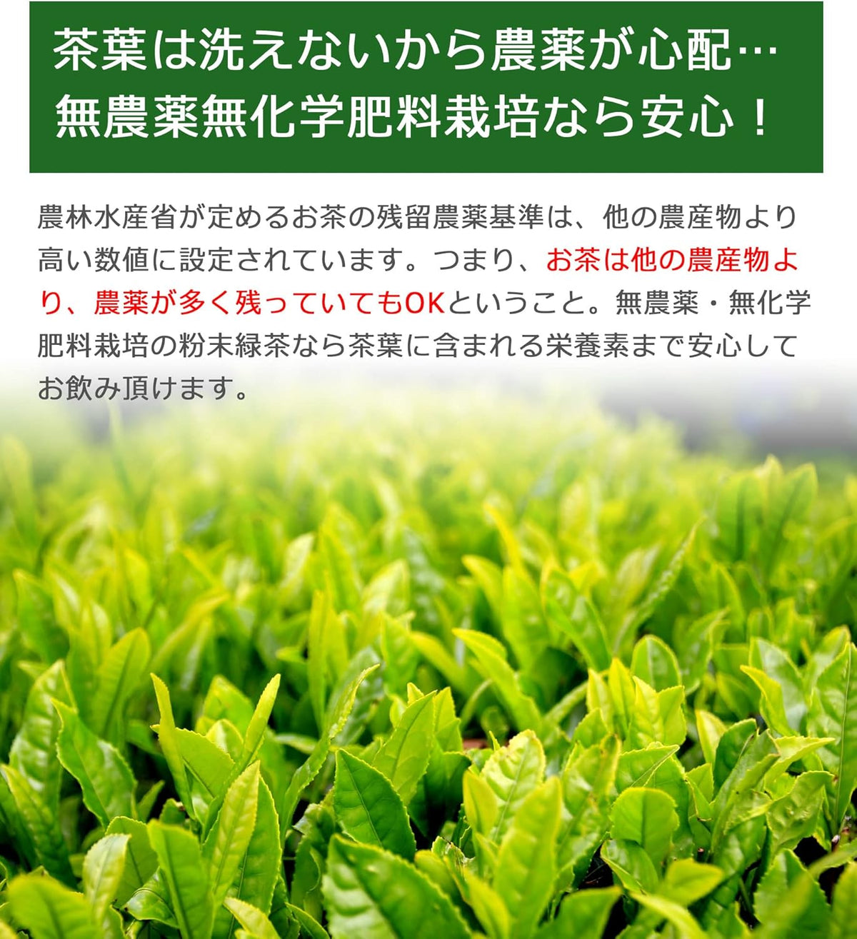 Made in Japan: Shizuoka Prefecture Organic Pesticide-Free Whole Leaf Green Tea Powder 100g (B3645)