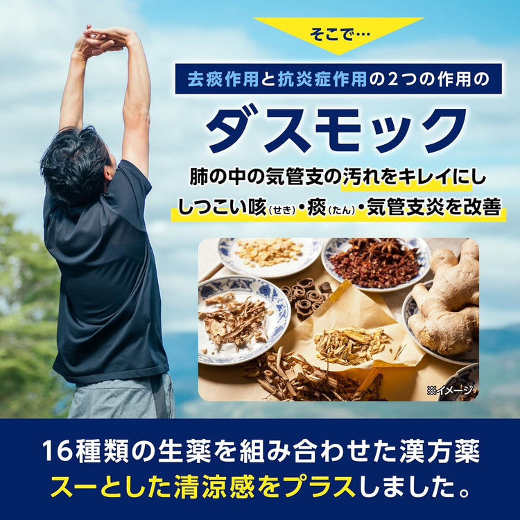 日本製：小林製薬 ｜ ダスモックb（ダスモックb錠） 咳・痰・気管支炎改善薬 (B3473)