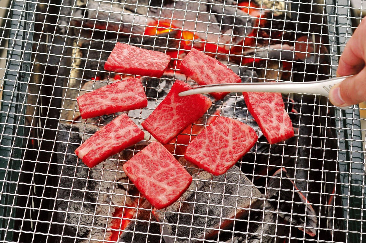 Made in Japan: Todai Stainless Steel Cooking Tongs/Grilled Meat Tongs 24.5cm (B3135)