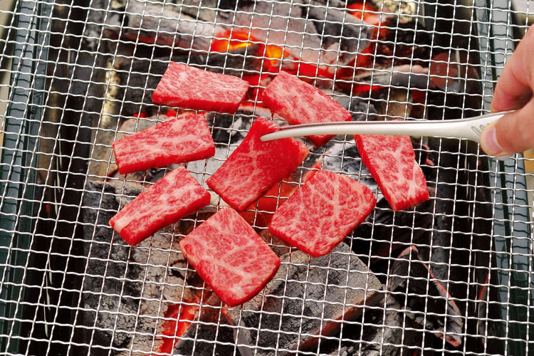 Made in Japan: Todai Stainless Steel Cooking Tongs/Grilled Meat Tongs 24.5cm (B3135)