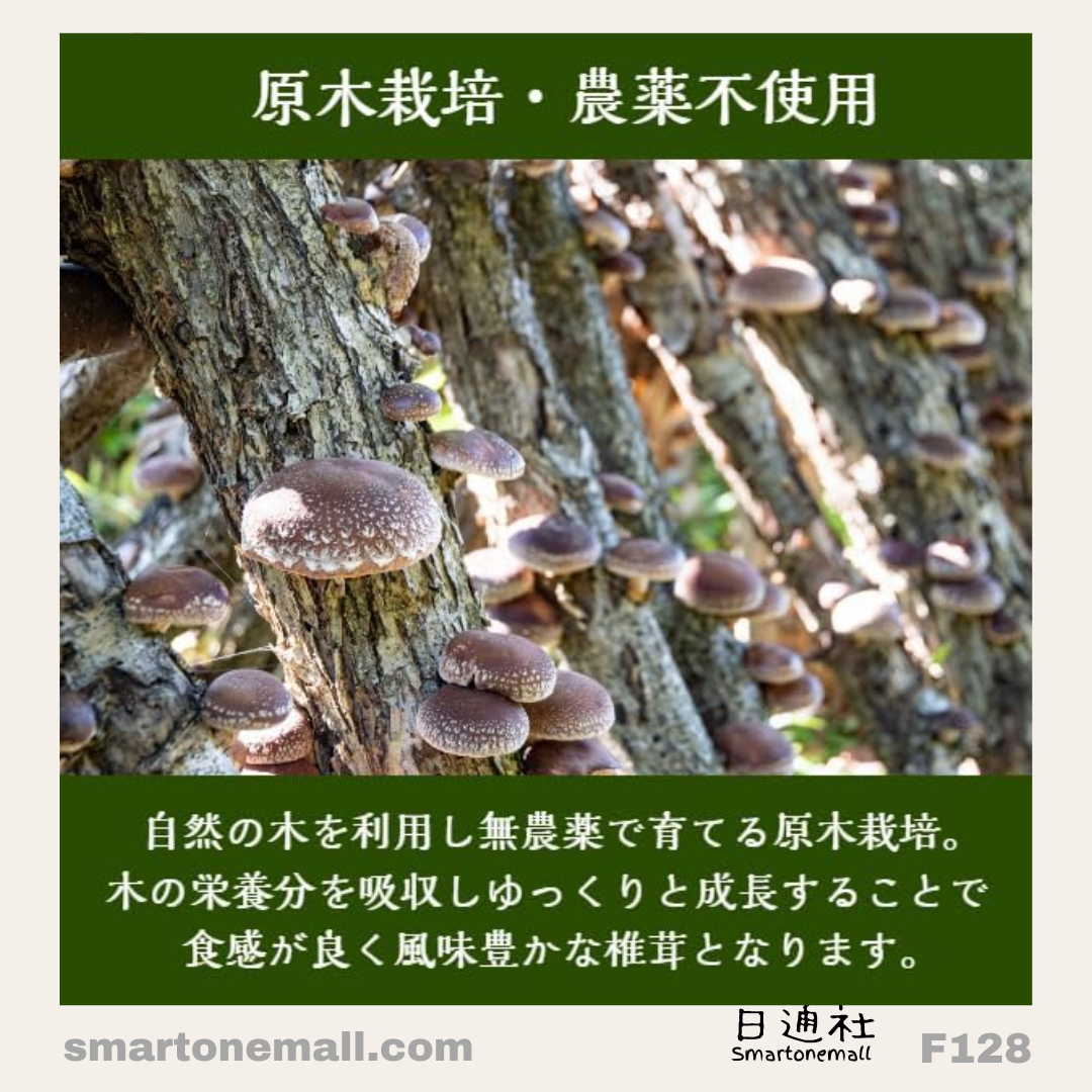 Made in Japan: Premium Japanese Organic Dried Shiitake Mushroom Powder 100g (F128) - Domestically Produced, Pesticide-Free, Dried Shiitake Mushroom Powder from Iseyoka Shoten, Japan