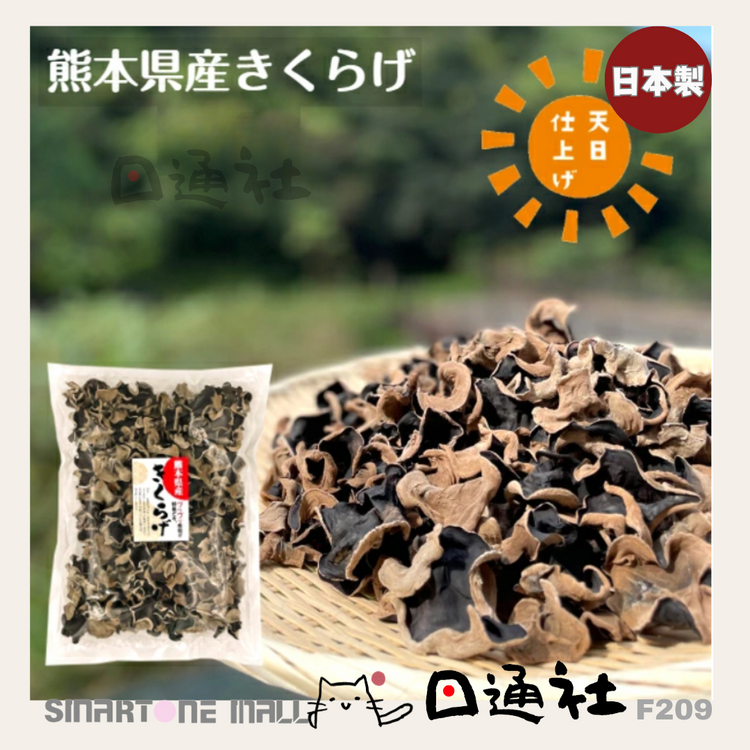 Made in Japan: Naturally Dried Kumamoto Ear Fungus (F209)