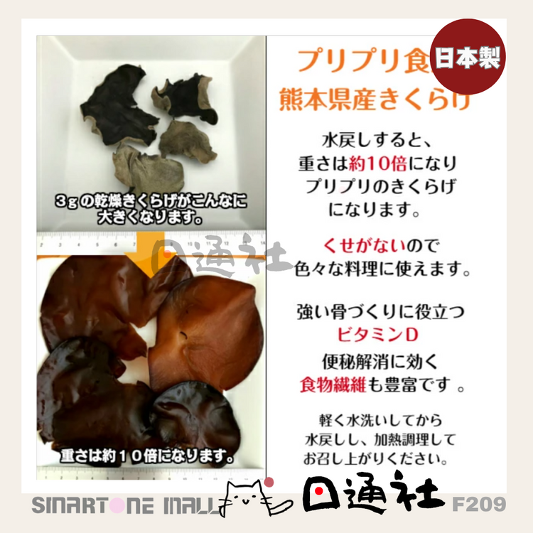 Made in Japan: Naturally Dried Kumamoto Ear Fungus (F209)