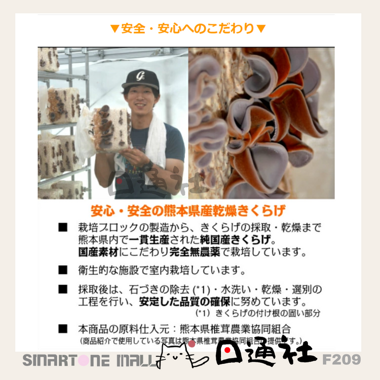 Made in Japan: Naturally Dried Kumamoto Ear Fungus (F209)