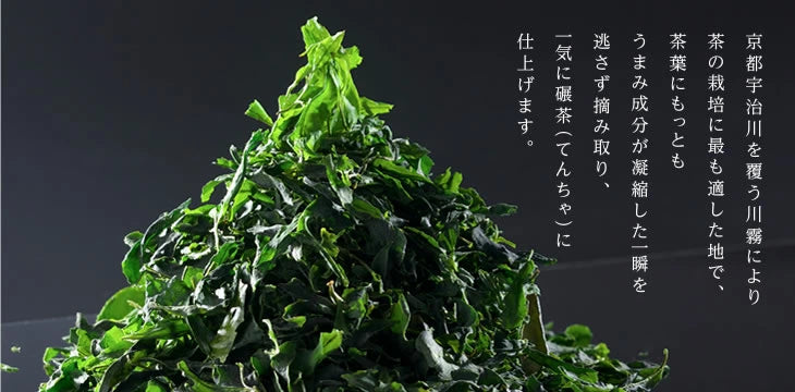 Made in Japan: Tsuji Ribei Main Store Uji Matcha Sticks 25 packs × 2 boxes total of 50 sticks (B2971)
