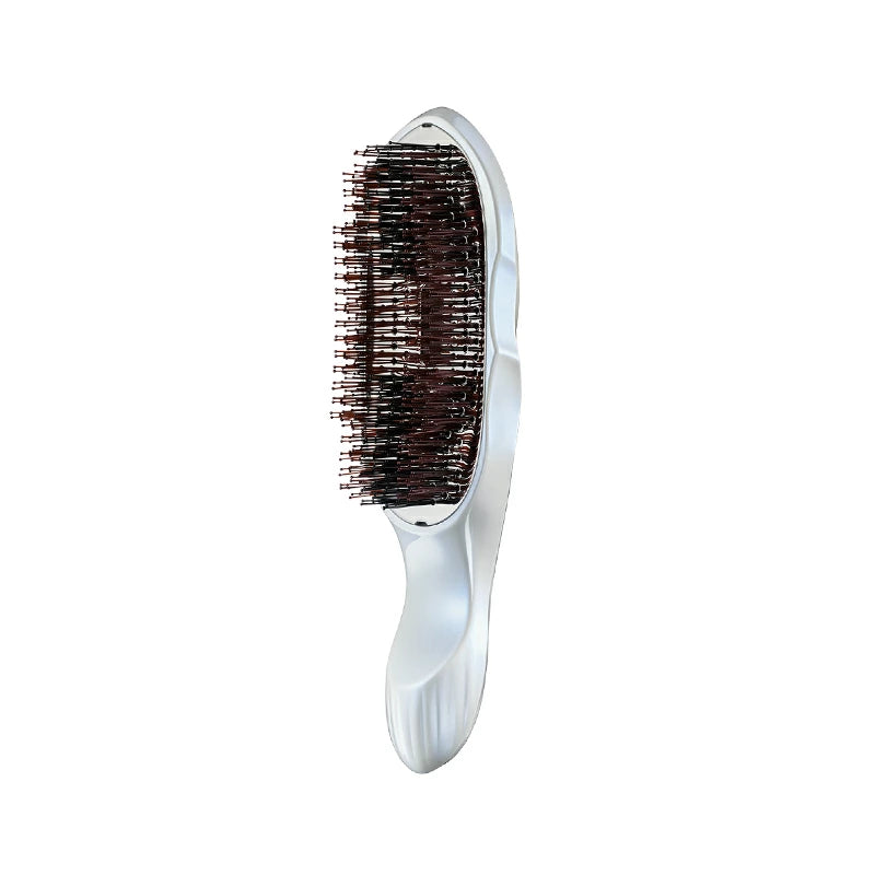 日本直送：ReFa ION CARE BRUSH 系列 (B3226)