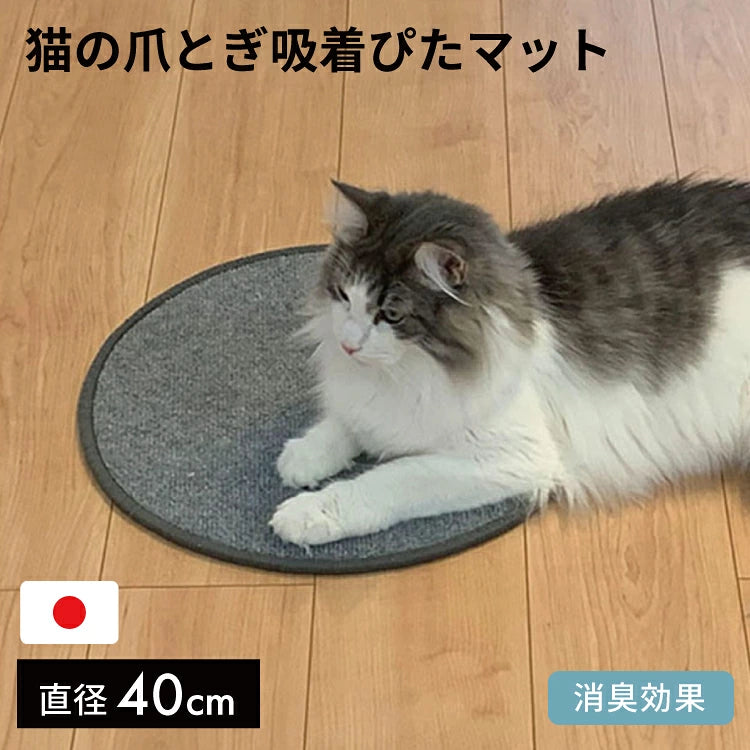 Made in Japan: Watanabe Industry Anti-slip Cat Scratcher (B3601)